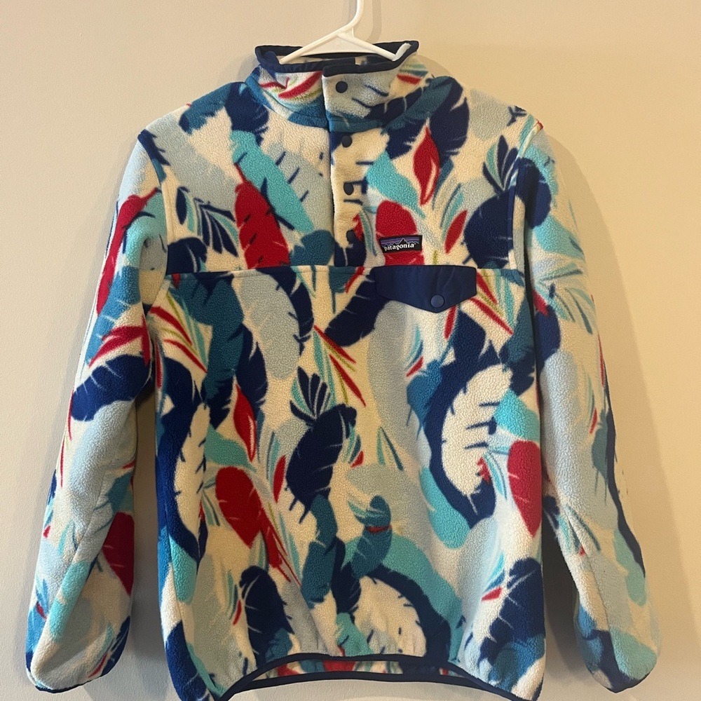 Patagonia Blue and Red Patterned fleece Jacket